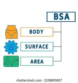 BSA - Body Surface Area acronym. business concept background.  vector illustration concept with keywords and icons. lettering illustration with icons for web banner, flyer