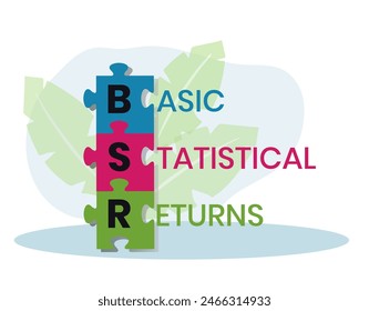 BSE, sigla en inglés de BÁSICO STATISTICAL RETURNS. Concepto con Palabra clave e iconos. Ilustración vectorial plana. Aislado en blanco.