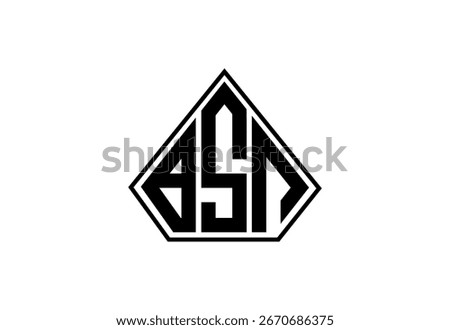 BSN Custom Monogram Logo Design.