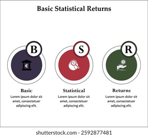 BSR - Basic Statistical Returns acronym. Infographic template with icons and description placeholder