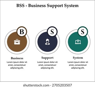 BSS - Acrónimo de sistema de Asistencia empresarial. Plantilla de infografía con iconos y marcador de posición de descripción