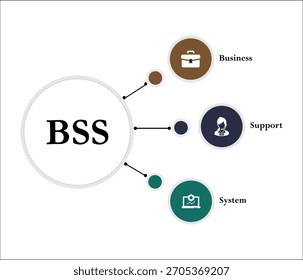BSS - Acrónimo de sistema de Asistencia empresarial. Plantilla de infografía con iconos y marcador de posición de descripción