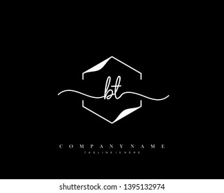 BT initial handwriting logo template vector