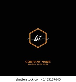 BT Initial handwriting logo template vector