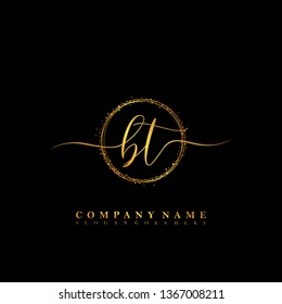 BT Initial luxury handwriting logo vector
