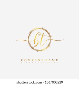 BT Initial luxury handwriting logo vector