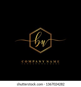 BU Initial luxury handwriting logo vector