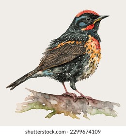 Bubba bird watercolor isolated white background, vintage a collection of birds. watercolor painting