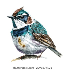 Bubba bird watercolor isolated white background, vintage a collection of birds. watercolor painting