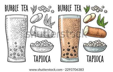 Bubble milk tea with tapioca pearl ball in glass and ingredients. Plate with boba. Vector color vintage engraving illustration isolated on white background. Hand drawn design element for label, poster