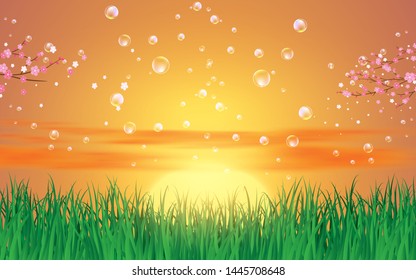 bubble on landscape of  green grass in sunset