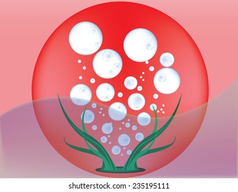 bubble red hot water blue tree light sea