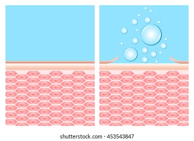 bubble soap cleaning a dead skin off vector