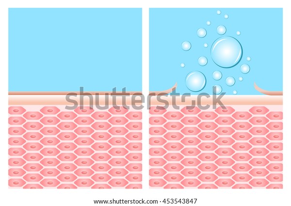 soap skin bubble plugin soap skin bubble plugin