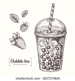 Bubble tea  Drink and ice   tapioca  Strawberry  raspberry  mint  Vector Hand Drawn  Sketch Botanical Illustration  Eco healthy food  