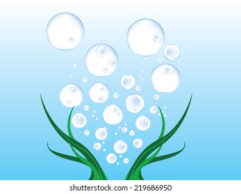 bubble water green tree light algae