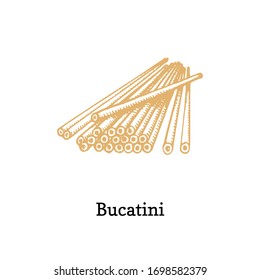 Bucatini, graphic illustration in vector. Hand drawn pastа on white background.