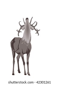 buck deer grunting