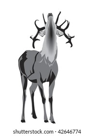 buck deer grunting