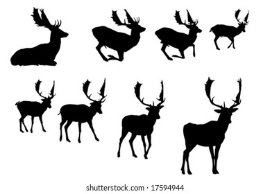 buck deer   silhouette, vector collection
