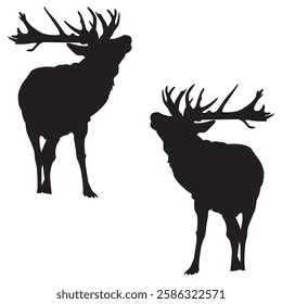 Buck Silhouette, Buck illustration, Buck icon Silhouette, Buck Silhouette illustration