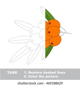 Buck thorn in vector to be traced. Restore dashed line and color the picture. Easy educational kid gaming with simple level of difficulty.