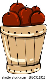 Bucket of apples, illustration, vector on white background.