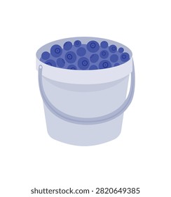 Bucket full of fresh blueberries - flat vector illustration of berry harvest.