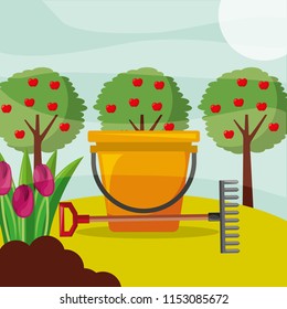 bucket rake apple trees and flowers gardening