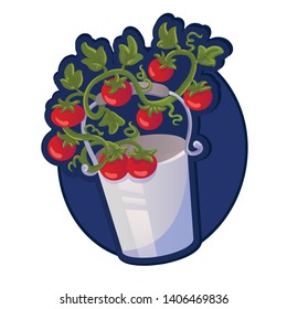 Bucket and tomato. Vector Isolated Graphic Design Illustration. Organic, natural, botanical, floral. Garden, gardening, farm, harvest, market, agriculture, vegan, vegetarian. Cartoon, comic style