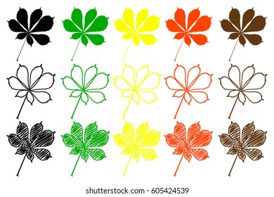 buckeye leaf color set. buckeye leaf
