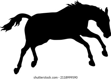 Bucking horse Silhouette - Isolated on white background