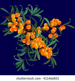 buckthorn branch 