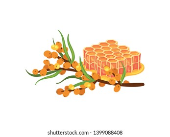 Buckthorn branch and one layer of honeycomb. Vector illustration on white background.