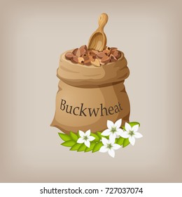 Buckwheat in the bag. Vector illustration