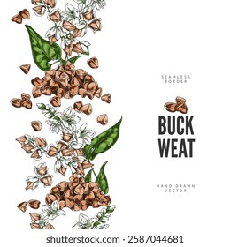 Buckwheat branch with flowers, leaves and seeds sketch vector seamless border design. Hand drawn blossom plant foliage, cereal crops, groats heap. Agricultural products, organic food