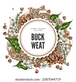 Buckwheat branch with flowers, leaves and seeds sketch vector round label design. Hand drawn blossom plant foliage, cereal crops, groats heap. Agricultural products, organic food on watercolor stain