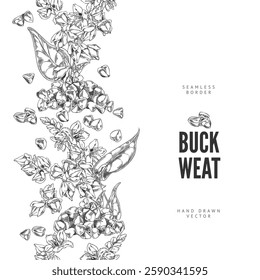 Buckwheat branch with flowers, leaves and seeds engraved sketch vector seamless border design. Hand drawn blossom plant foliage, cereal crops, groats heap. Agricultural product, organic food ink style