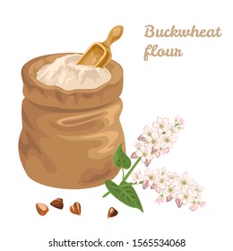 Buckwheat flour in a canvas bag with a measuring scoop and branch of a flowering plant isolated on white background. Gluten free food vector illustration in cartoon simple flat style.