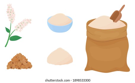 Buckwheat flour in a canvas bag with measuring scoop. Heap of grains and branch of flowering plant isolated on white background. Gluten free food vector illustration in cartoon simple flat style.