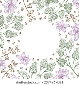 Buckwheat frame border vector hand drawn background. Label template buckwheats branch, seeds flowers and fruits with engraving. Grain harvest, agriculture, healthy food, carbohydrate, porridge, tea