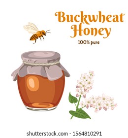 Buckwheat honey in a glass jar isolated on a white background. Natural sweetness, a bee and a branch of a flowering buckwheat plant. Vector illustration in cartoon simple flat style.