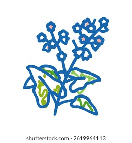 buckwheat plant healthy doodle icon sketch vector. buckwheat plant healthy sign. isolated symbol illustration