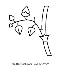 buckwheat plant healthy line icon vector. buckwheat plant healthy sign. isolated contour symbol black illustration