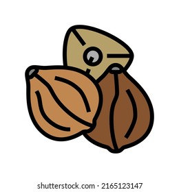 Buckwheat Seed Color Icon Vector Buckwheat Stock Vector (royalty Free 