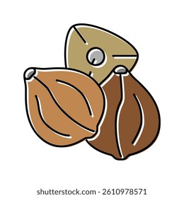 buckwheat seed color icon vector. buckwheat seed sign. isolated symbol illustration