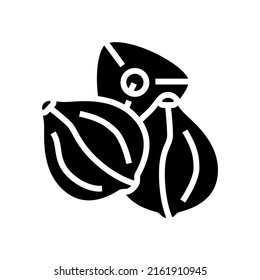buckwheat seed glyph icon vector. buckwheat seed sign. isolated contour symbol black illustration