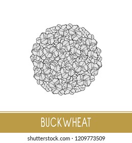 Buckwheat. Seed, grain, fruit. Sketch. Monochrome. On a white background.