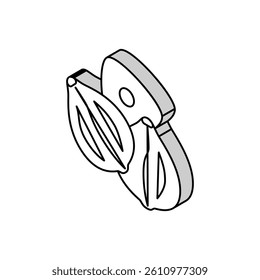 buckwheat seed isometric icon vector. buckwheat seed sign. isolated symbol illustration