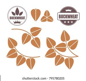 Buckwheat set. Isolated buckwheat on white background


